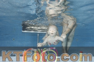 Photo 4265375