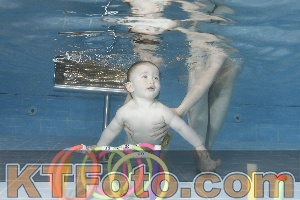 Photo 4265379