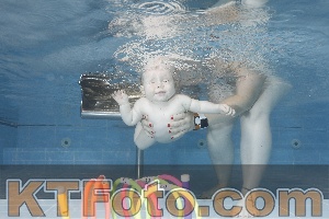 Photo 4265380