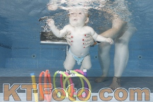 Photo 4265382