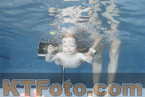 Photo 4265383