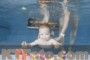 Photo 4265385