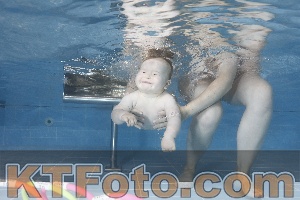 Photo 4265386