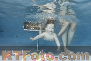 Photo 4265388