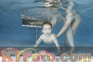 Photo 4265389