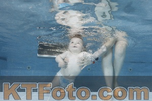Photo 4265390