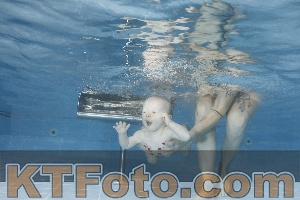 Photo 4265392