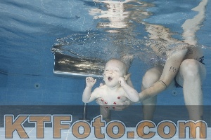 Photo 4265393