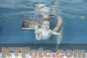Photo 4265395