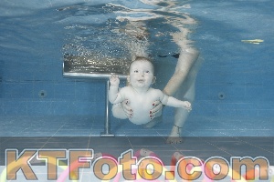 Photo 4265396