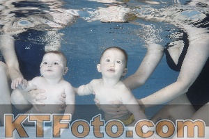 Photo 4265425