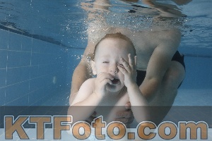 Photo 4265530