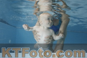 Photo 4265534