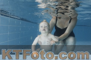 Photo 4265538