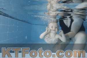 Photo 4265539