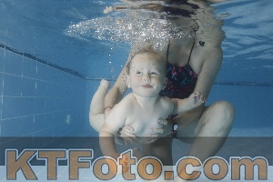 Photo 4265541