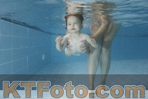 Photo 4265544