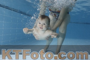 Photo 4265546