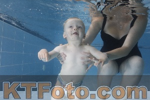 Photo 4265559
