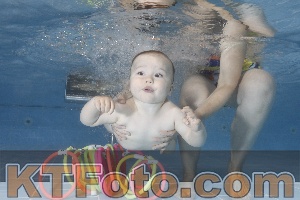 Photo 4265615