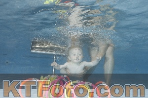 Photo 4265619