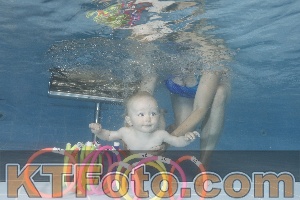Photo 4265620