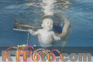 Photo 4265621