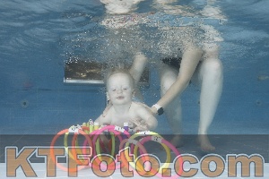 Photo 4265623