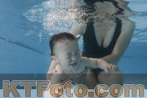 Photo 4265788