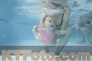 Photo 4265789