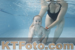 Photo 4265792