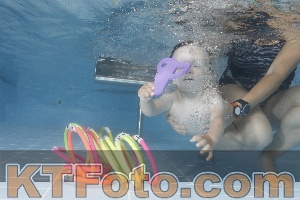 Photo 4265832