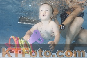 Photo 4265833