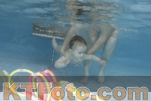 Photo 4265834