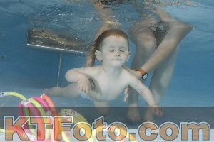 Photo 4265836