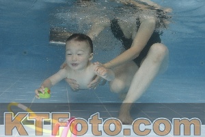 Photo 4265838