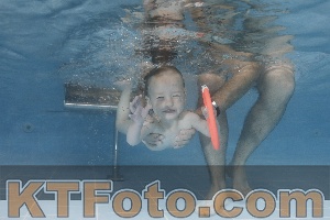 Photo 4265840