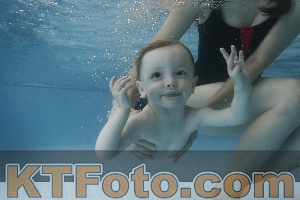 Photo 4266023
