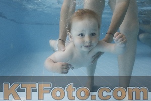Photo 4266025