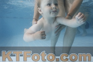 Photo 4266026