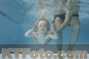 Photo 4266028