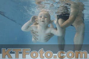Photo 4266029