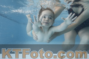 Photo 4266030