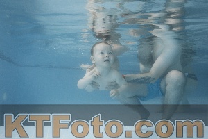Photo 4266035