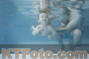 Photo 4266036