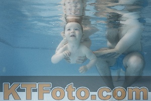 Photo 4266037