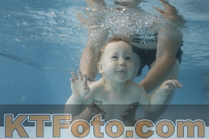 Photo 4266040