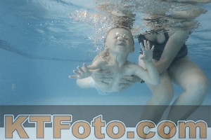 Photo 4266041