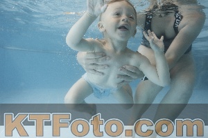 Photo 4266043