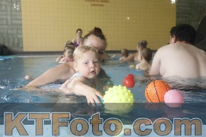 Photo 4266052